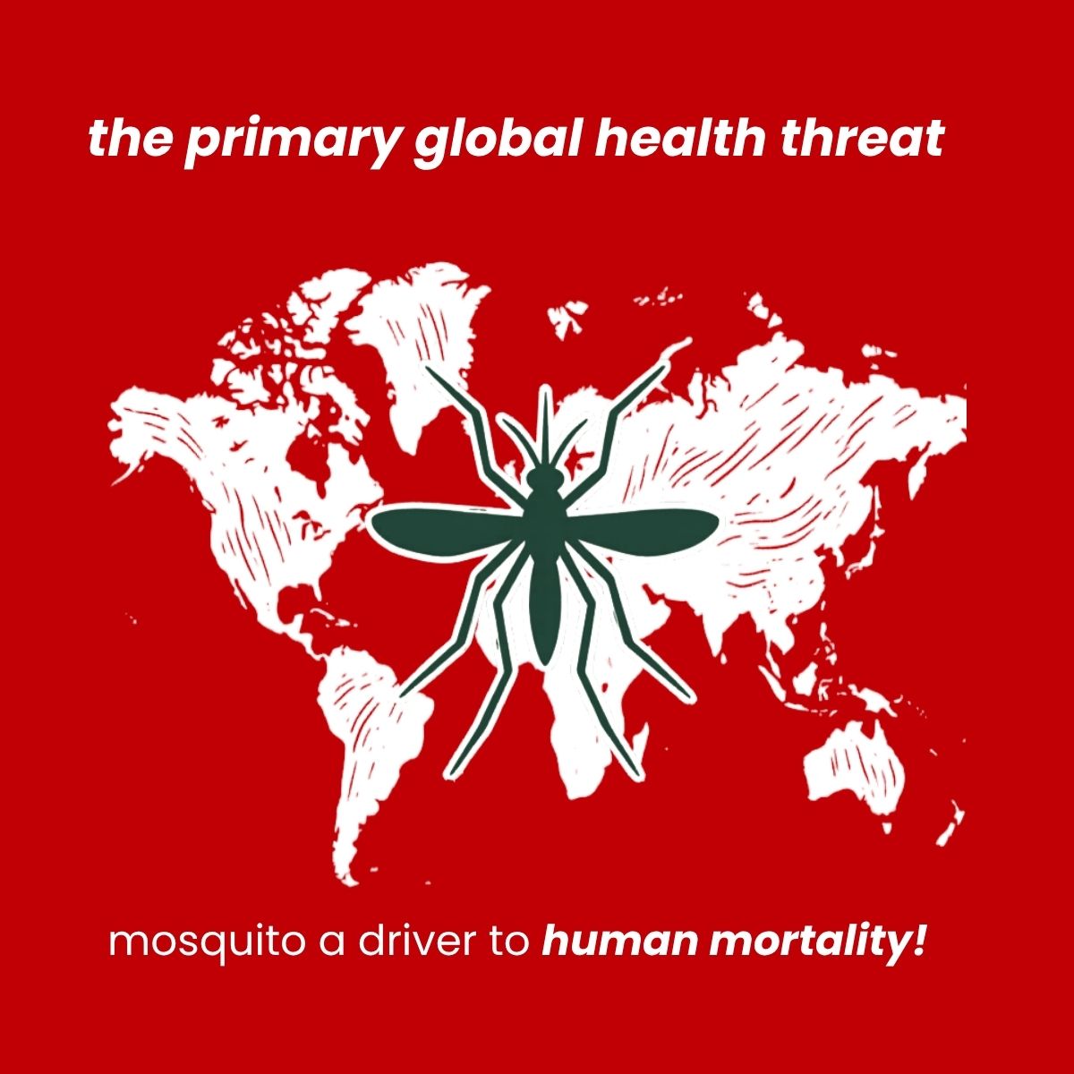 Did you know mosquito science fact 0