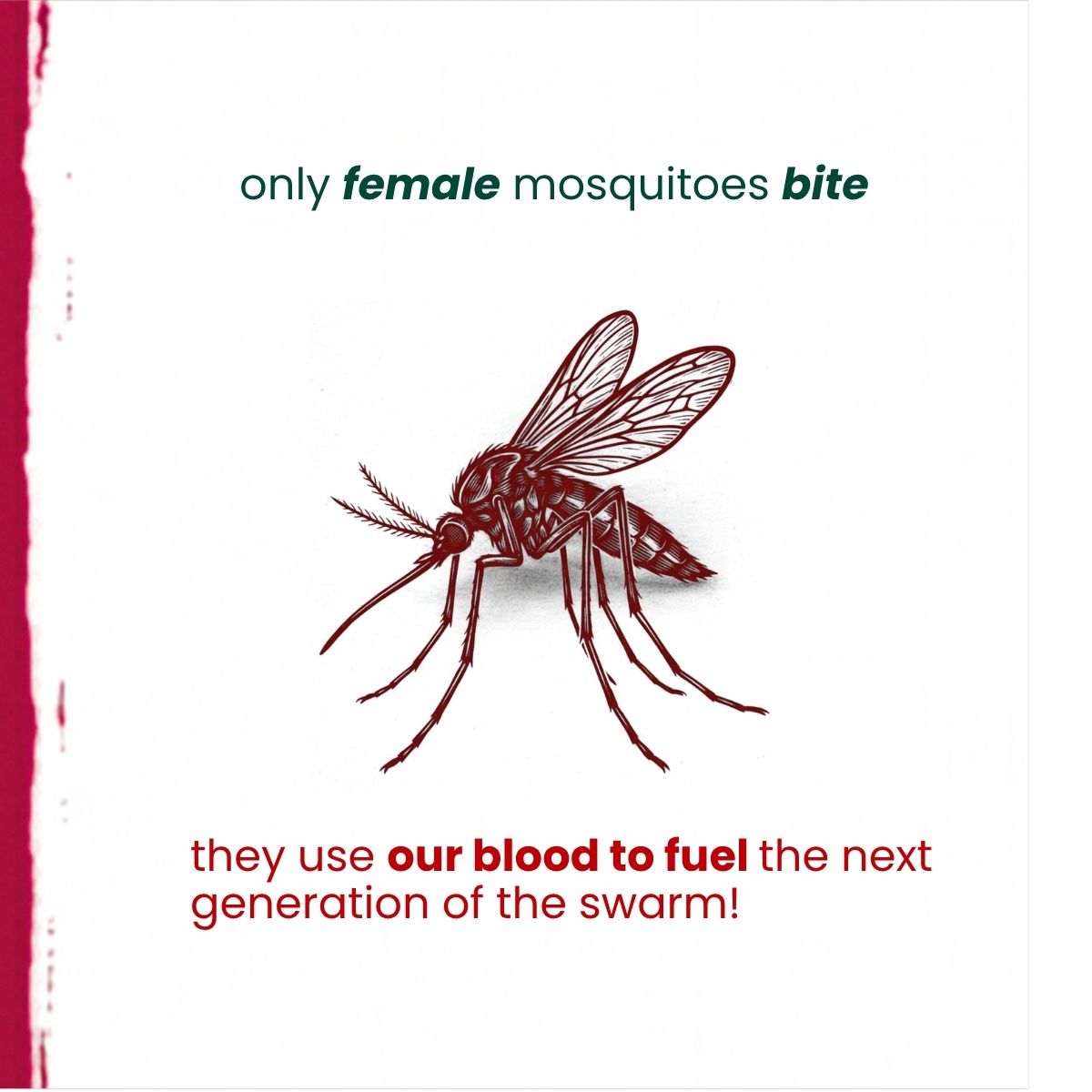 Did you know mosquito science fact 3