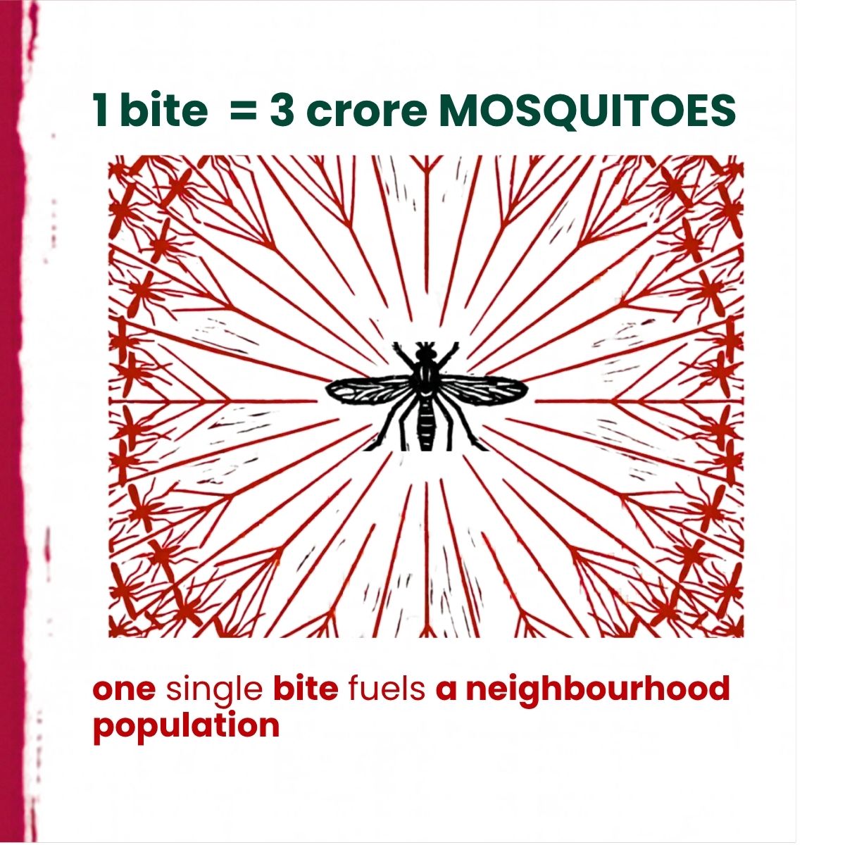 Did you know mosquito science fact 4