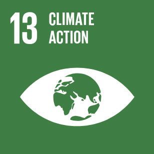 Sustainable Development Goal 