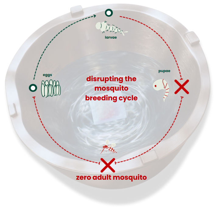Diagram showing Movitraps disrupting the mosquito breeding cycle